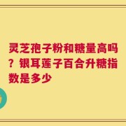 灵芝孢子粉和糖量高吗？银耳莲子百合升糖指数是多少