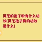 灵芝的孢子粉有什么功效(灵芝孢子粉的功效是什么)
