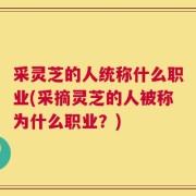 采灵芝的人统称什么职业(采摘灵芝的人被称为什么职业？)