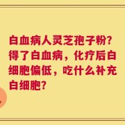 白血病人灵芝孢子粉？得了白血病，化疗后白细胞偏低，吃什么补充白细胞？