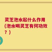 灵芝泡水起什么作用 (泡水喝灵芝有何功效？)