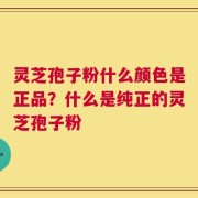 灵芝孢子粉什么颜色是正品？什么是纯正的灵芝孢子粉