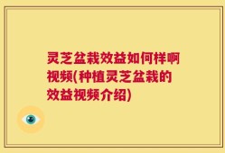 灵芝盆栽效益如何样啊视频(种植灵芝盆栽的效益视频介绍)