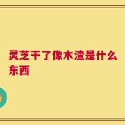 灵芝干了像木渣是什么东西