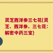 灵芝西洋参三七花(灵芝、西洋参、三七花：解密中药三宝)