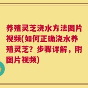 养殖灵芝浇水方法图片视频(如何正确浇水养殖灵芝？步骤详解，附图片视频)