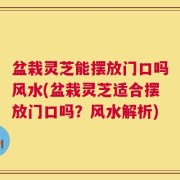 盆栽灵芝能摆放门口吗风水(盆栽灵芝适合摆放门口吗？风水解析)