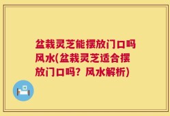 盆栽灵芝能摆放门口吗风水(盆栽灵芝适合摆放门口吗？风水解析)
