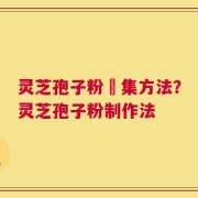 灵芝孢子粉釆集方法？灵芝孢子粉制作法