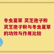 冬虫夏草 灵芝孢子粉灵芝孢子粉与冬虫夏草的功效与作用比较