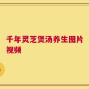 千年灵芝煲汤养生图片视频