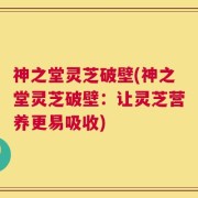 神之堂灵芝破壁(神之堂灵芝破壁：让灵芝营养更易吸收)