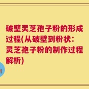 破壁灵芝孢子粉的形成过程(从破壁到粉状：灵芝孢子粉的制作过程解析)