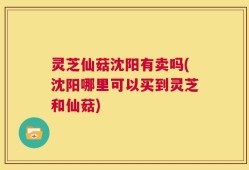 灵芝仙菇沈阳有卖吗(沈阳哪里可以买到灵芝和仙菇)