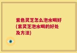 紫色灵芝怎么泡水喝好(紫灵芝泡水喝的好处及方法)