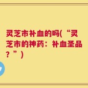 灵芝市补血的吗(“灵芝市的神药：补血圣品？”)