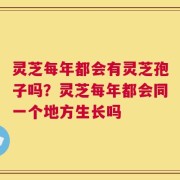 灵芝每年都会有灵芝孢子吗？灵芝每年都会同一个地方生长吗