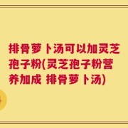 排骨萝卜汤可以加灵芝孢子粉(灵芝孢子粉营养加成 排骨萝卜汤)