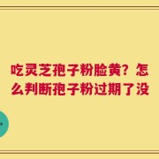吃灵芝孢子粉脸黄？怎么判断孢子粉过期了没