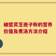 破壁灵芝孢子粉的营养价值及煮汤方法介绍