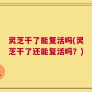 灵芝干了能复活吗(灵芝干了还能复活吗？)