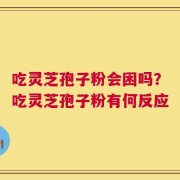 吃灵芝孢子粉会困吗？吃灵芝孢子粉有何反应