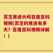灵芝用途大吗百度百科视频(灵芝的用途有多大？百度百科视频详解！)