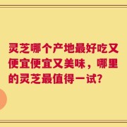 灵芝哪个产地最好吃又便宜便宜又美味，哪里的灵芝最值得一试？