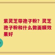 紫灵芝带孢子粉？灵芝孢子粉和什么做面膜效果好