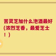 苦灵芝加什么泡酒最好(浓烈芝香，最爱芝士！)