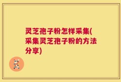 灵芝孢子粉怎样采集(采集灵芝孢子粉的方法分享)