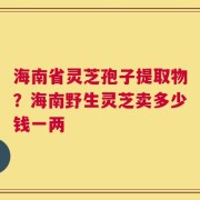 海南省灵芝孢子提取物？海南野生灵芝卖多少钱一两