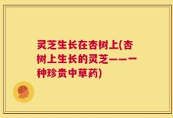 灵芝生长在杏树上(杏树上生长的灵芝——一种珍贵中草药)
