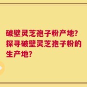 破壁灵芝孢子粉产地？探寻破壁灵芝孢子粉的生产地？