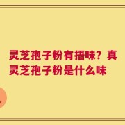 灵芝孢子粉有捂味？真灵芝孢子粉是什么味