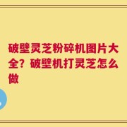 破壁灵芝粉碎机图片大全？破壁机打灵芝怎么做