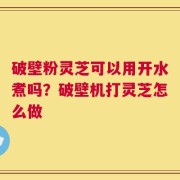 破壁粉灵芝可以用开水煮吗？破壁机打灵芝怎么做