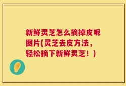 新鲜灵芝怎么摘掉皮呢图片(灵芝去皮方法，轻松摘下新鲜灵芝！)