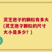 灵芝孢子的颗粒有多大(灵芝孢子颗粒的尺寸大小是多少？)