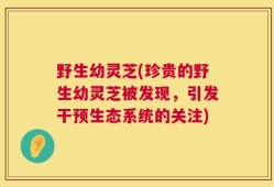 野生幼灵芝(珍贵的野生幼灵芝被发现，引发干预生态系统的关注)