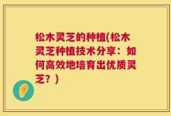 松木灵芝的种植(松木灵芝种植技术分享：如何高效地培育出优质灵芝？)
