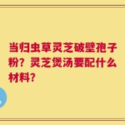 当归虫草灵芝破壁孢子粉？灵芝煲汤要配什么材料？