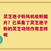 灵芝孢子粉风机收粉图片？已采集了灵芝孢子粉的灵芝功效作用怎样呢
