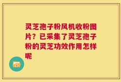 灵芝孢子粉风机收粉图片？已采集了灵芝孢子粉的灵芝功效作用怎样呢