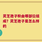 灵芝孢子粉由哪部位组成？灵芝孢子是怎么样的