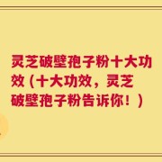 灵芝破壁孢子粉十大功效 (十大功效，灵芝破壁孢子粉告诉你！)