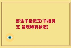 野生千指灵芝(千指灵芝 呈现稀有状态)
