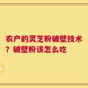 农户的灵芝粉破壁技术？破壁粉该怎么吃
