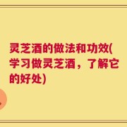 灵芝酒的做法和功效(学习做灵芝酒，了解它的好处)