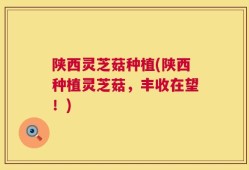 陕西灵芝菇种植(陕西种植灵芝菇，丰收在望！)